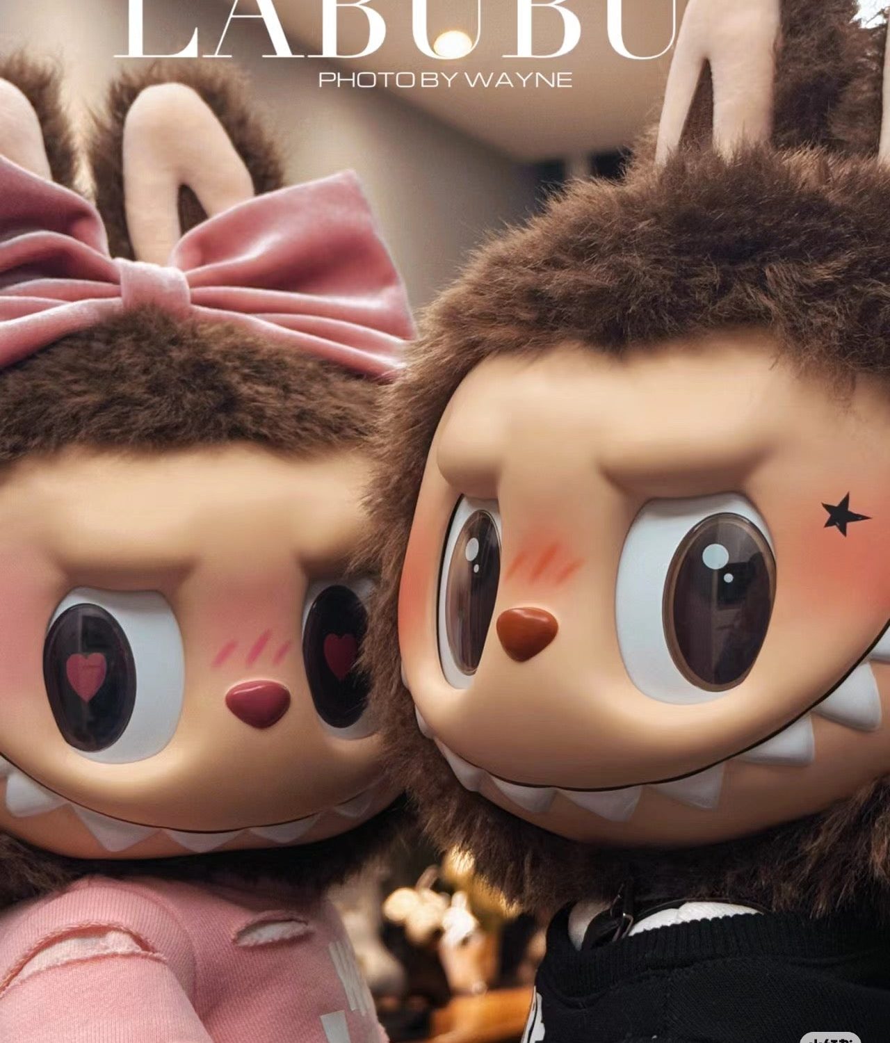 Catch me if you like me ｜Labubu large doll valentine limit pre-order