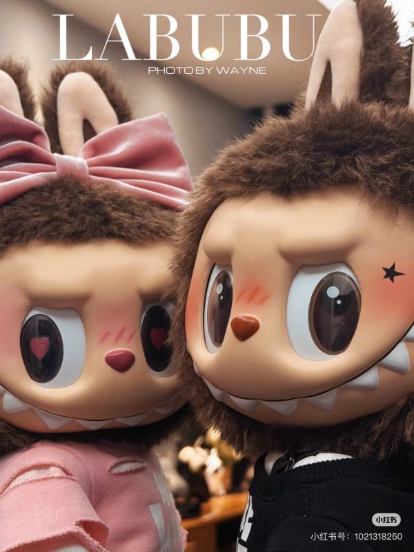 IMG-9716.jpg Catch me if you like me |Labubu large doll valentine limit pre-order